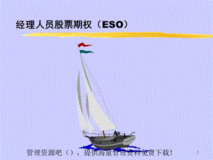 经理人员股票期权(ESO).ppt