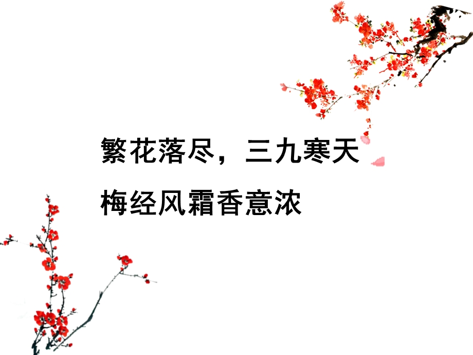 终总结多种动画集合.ppt_第3页