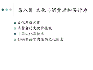 消费者行为学第8讲.ppt