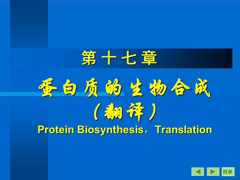 蛋白质的生物合成与修饰.ppt_第1页