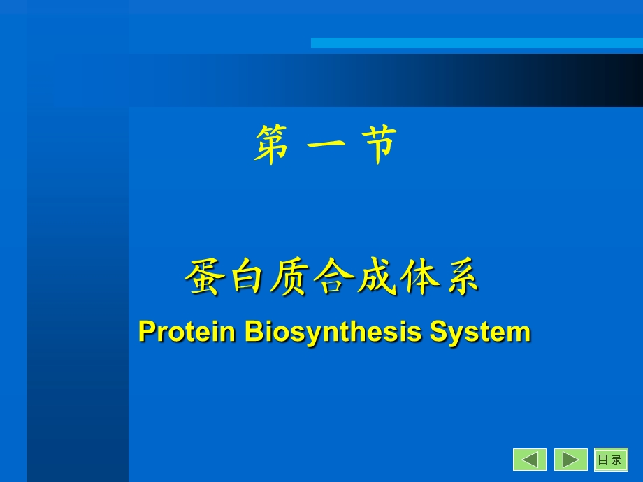 蛋白质的生物合成与修饰.ppt_第3页