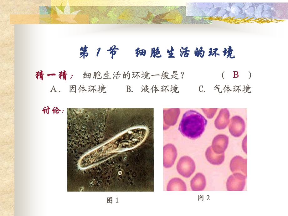 细胞生活的环境(应用版).ppt_第2页