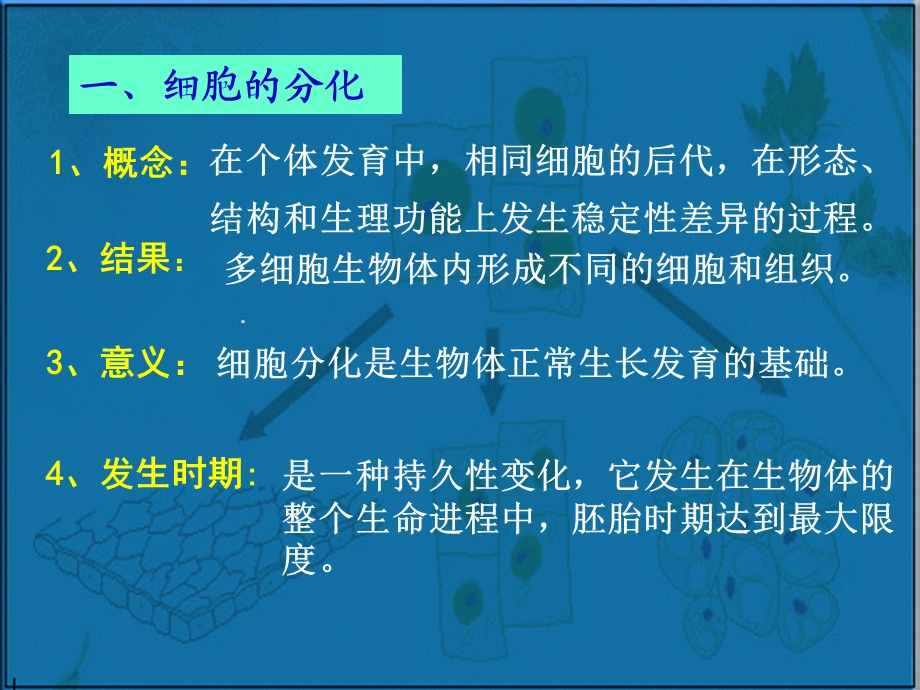 细胞的分化癌变课件高一生物.ppt_第2页