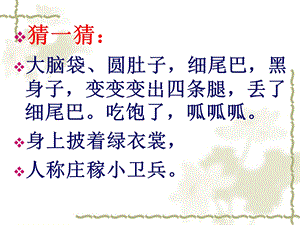 识字一 保护庄稼好卫兵课件.ppt