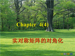 线性代数2chapter4实对称矩阵的对角化.ppt