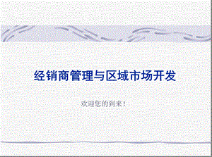 经销商管理与渠道建设.ppt