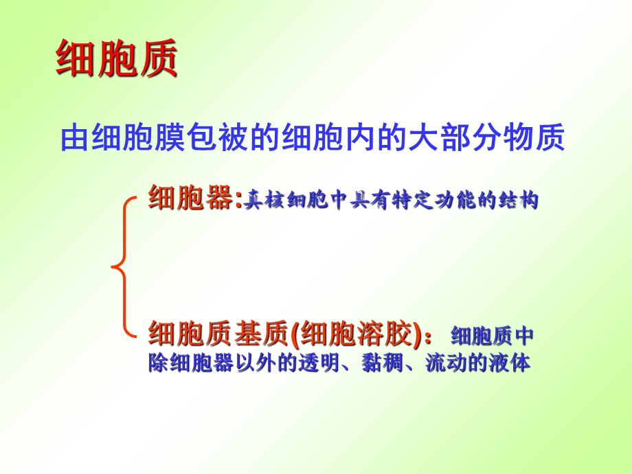 浙科版必修1第二章第三节细胞质.ppt_第3页