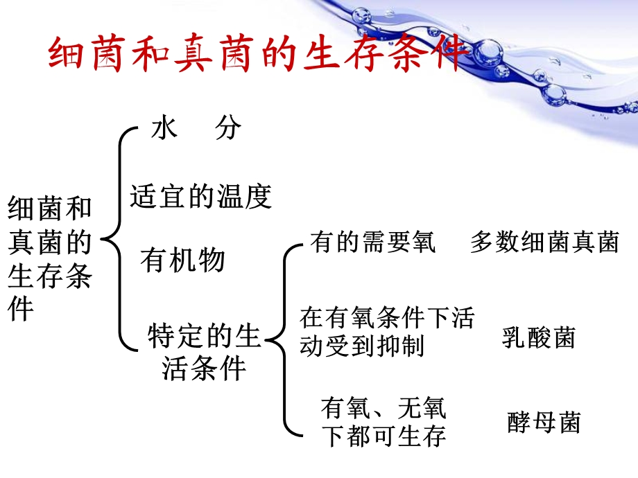 生物上册复习重点.ppt_第3页