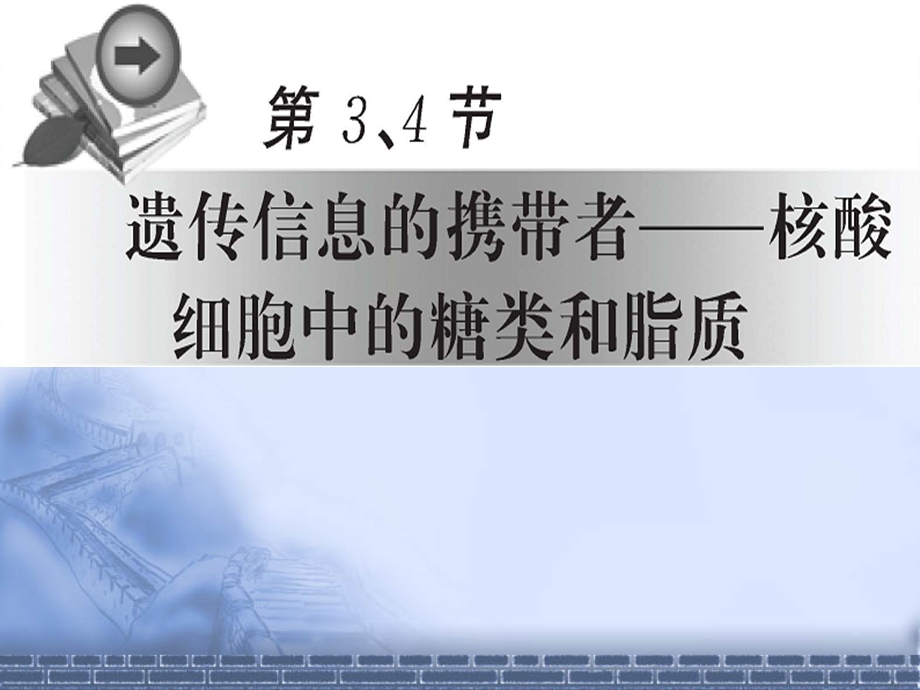 轮复习必修一2-3核酸、糖类、脂质.ppt_第1页