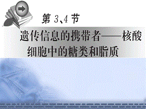 轮复习必修一2-3核酸、糖类、脂质.ppt