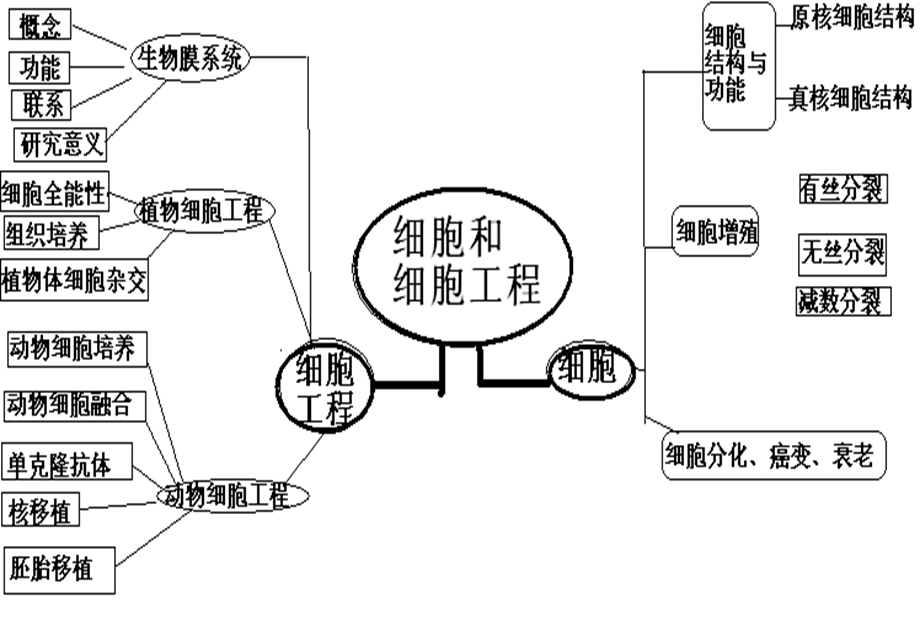 细胞结构与功能六细胞工程.ppt_第2页