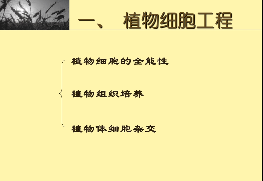 细胞结构与功能六细胞工程.ppt_第3页