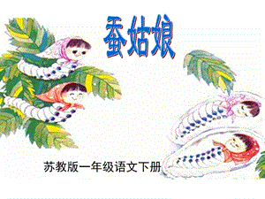 苏教版二下《蚕姑娘》.ppt