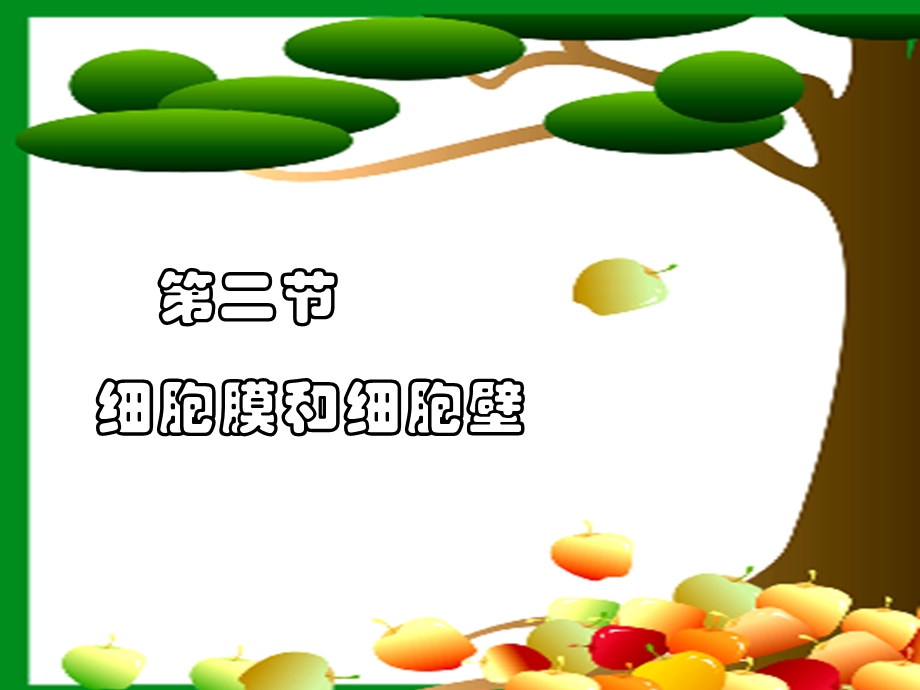 细胞膜和细胞壁上课用.ppt_第1页