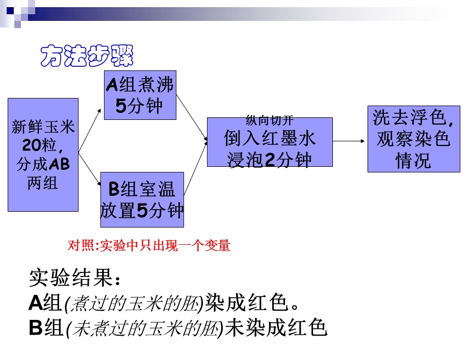 细胞膜和细胞壁上课用.ppt_第3页