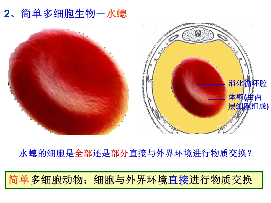 轮复习3.1人体的内环境与稳态.ppt_第3页