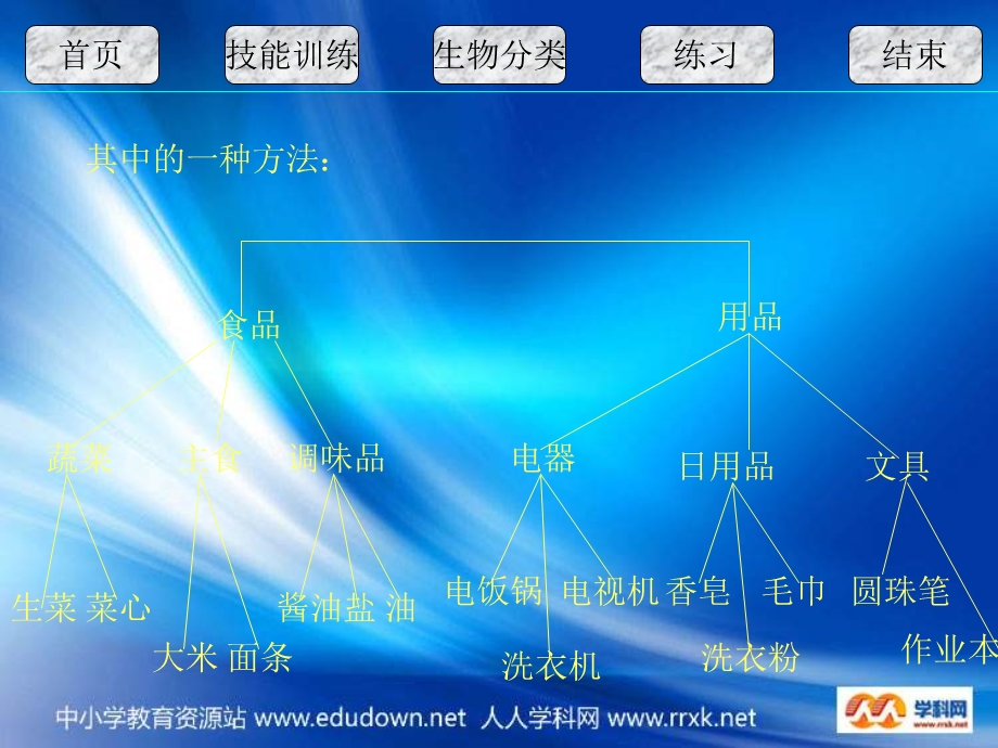 牛津上海版科学六上《分类》.ppt_第3页