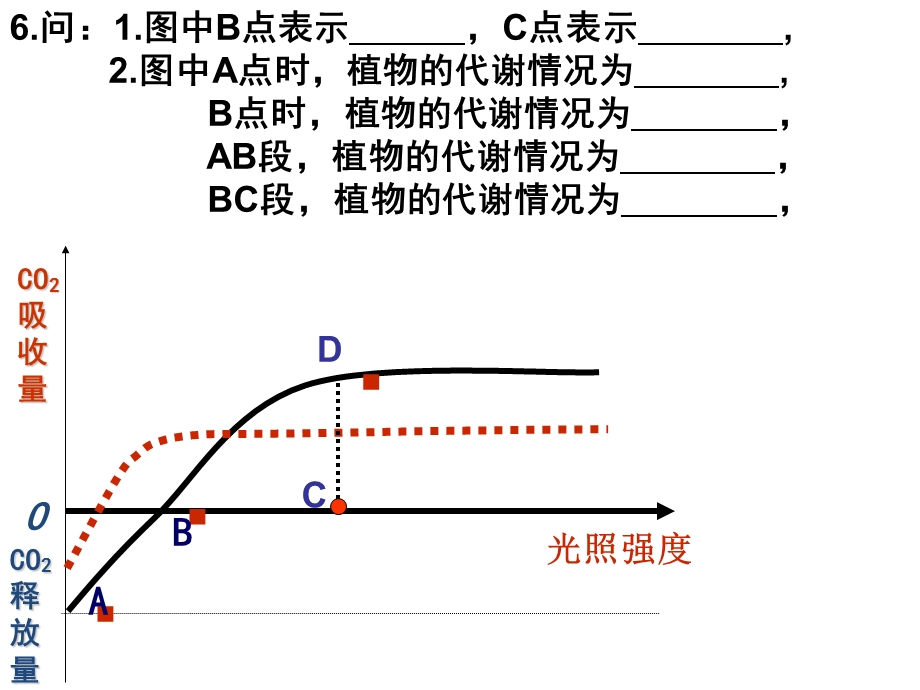 知识点默写(光合作用).ppt_第2页