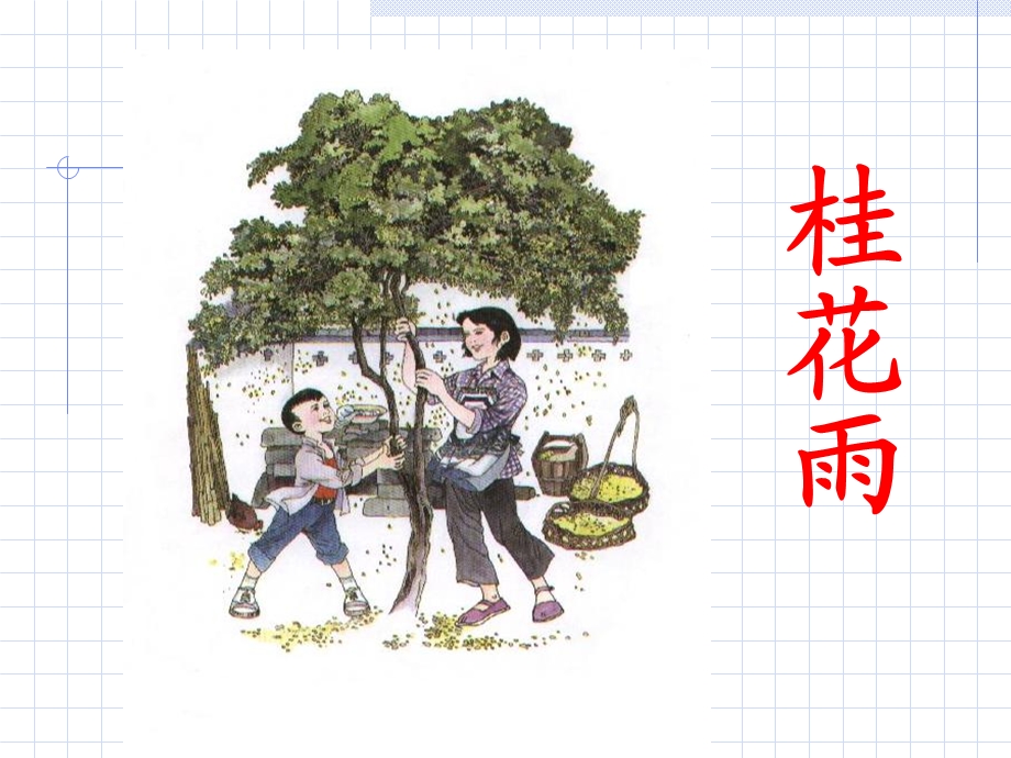 苏教版国标本语文第七册《桂花雨》课件.ppt_第1页