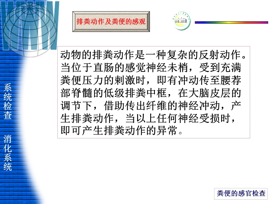 消化系统检查(第四讲).ppt_第2页