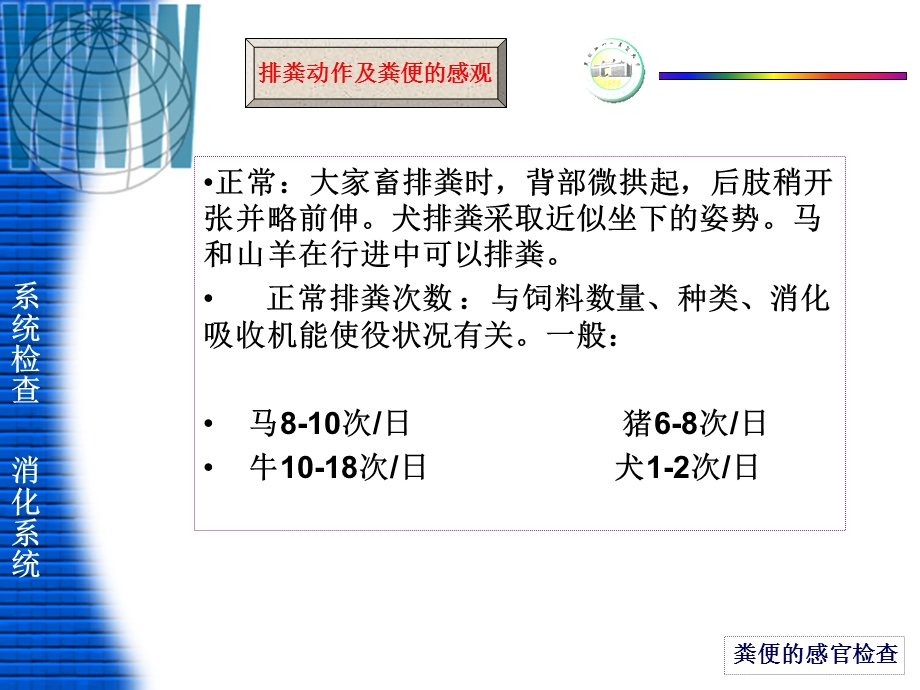 消化系统检查(第四讲).ppt_第3页