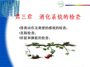 消化系统检查(第四讲).ppt