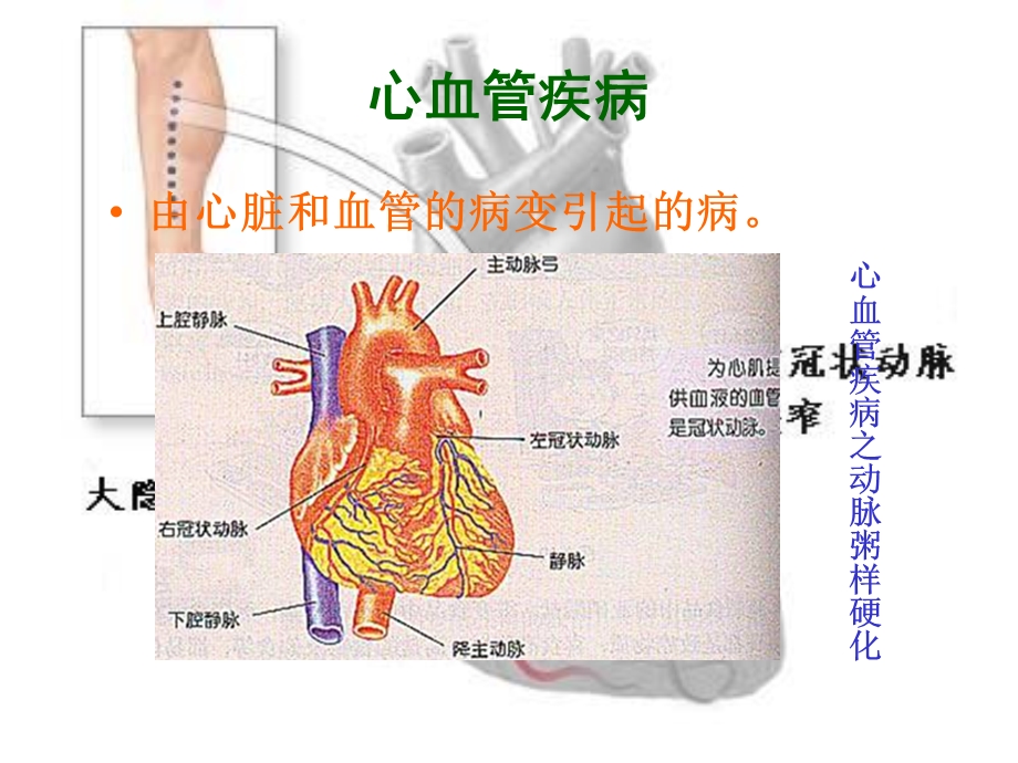 生物上册第18章第二节威胁健康的主要疾病.ppt_第3页