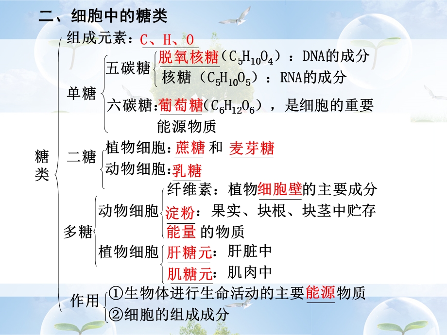 组成生物体的有机化合物.ppt_第3页