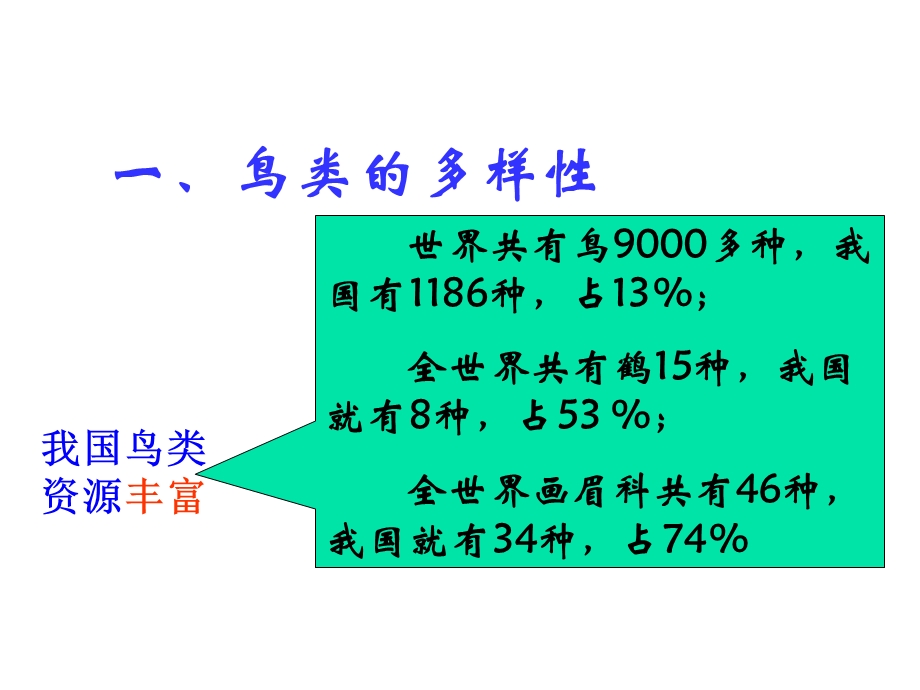 空中飞行的动物课件人教版.ppt_第3页