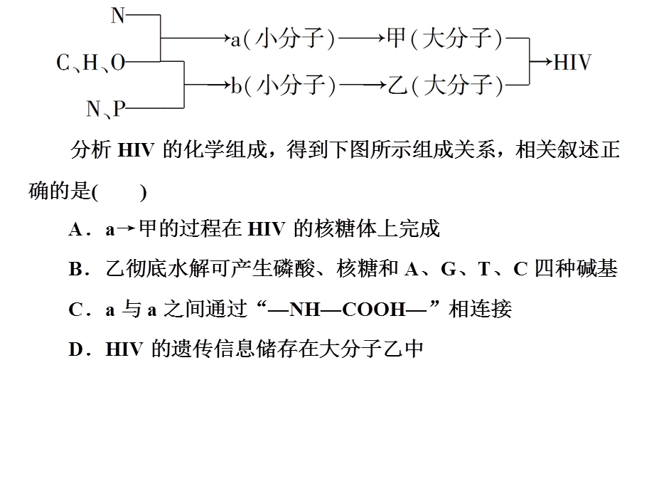 蛋白质的相关计算.pptx_第1页