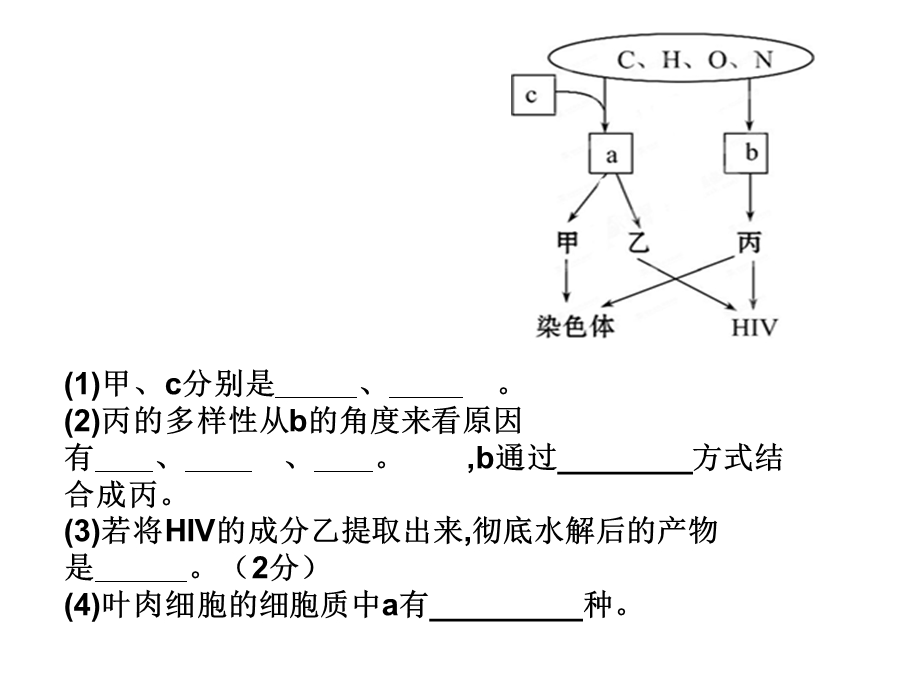 蛋白质的相关计算.pptx_第2页