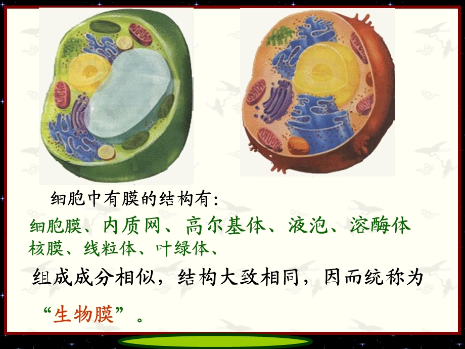 生物膜系统与细胞工程1su.ppt_第1页