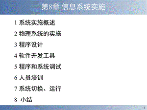 管理信息系统实施(王贵用).ppt