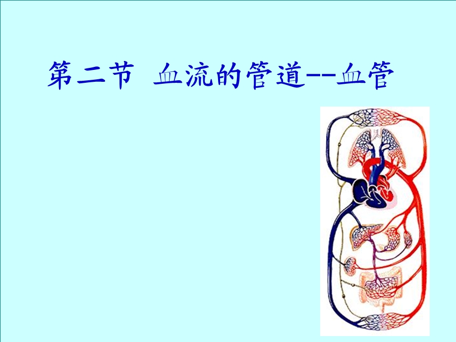 血流的管道-血管(完整).ppt_第1页