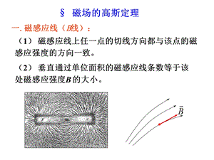 磁场的高斯环路定理.ppt