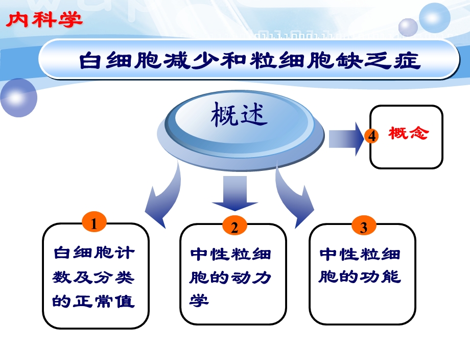 白细胞减少和粒缺.ppt_第3页