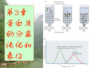 蛋白质的通性、纯化和表征.ppt