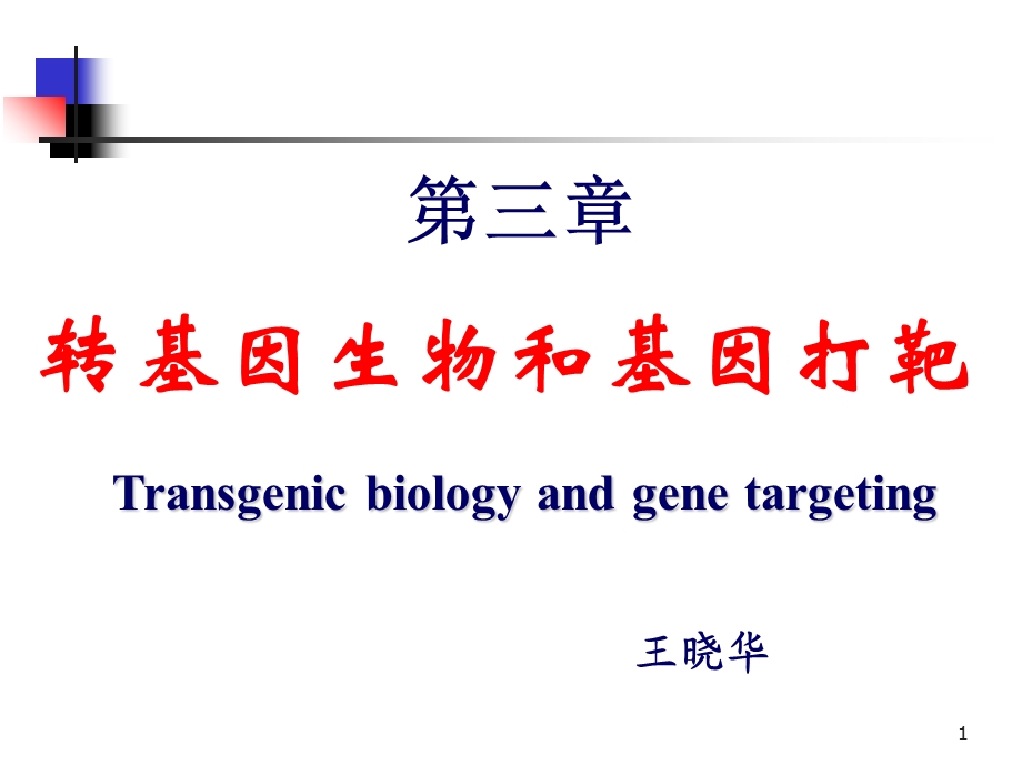 转基因物生和基因打靶.ppt_第1页