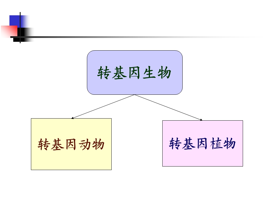 转基因物生和基因打靶.ppt_第2页