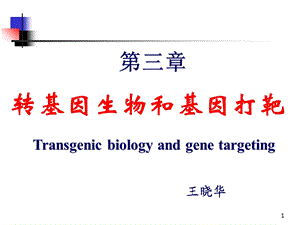 转基因物生和基因打靶.ppt