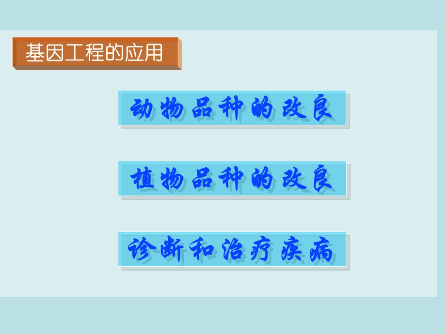 苏教版高二选修三1.2基因工程的应用.ppt_第2页