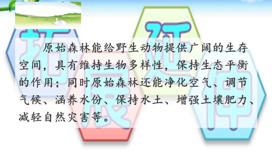 部编语文二年级下册课件：23祖先的摇篮.ppt_第3页