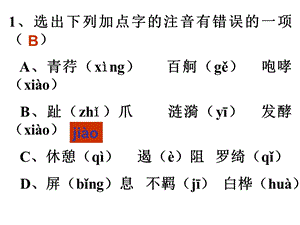 苏教版必修一字词练习.ppt