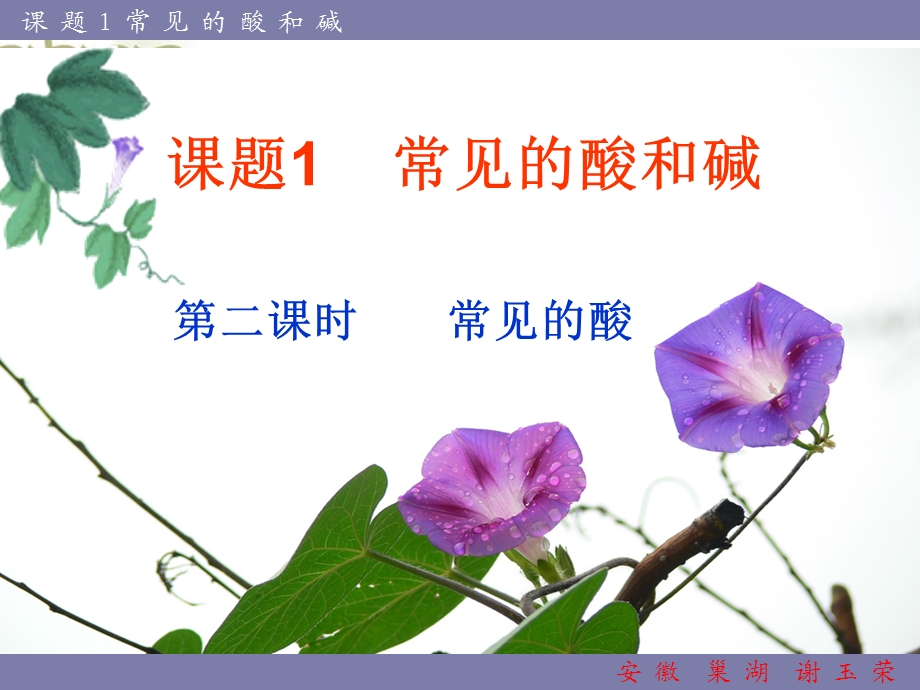 课题一常见的酸和碱(课时).ppt_第1页