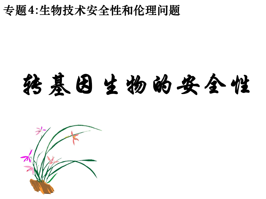 转基因生物的全安性(公开课).ppt_第1页