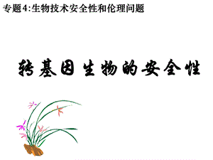 转基因生物的全安性(公开课).ppt