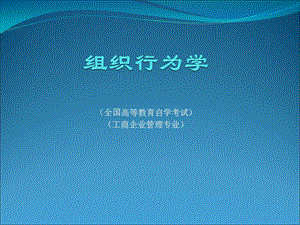 组织行为学(第一章).ppt