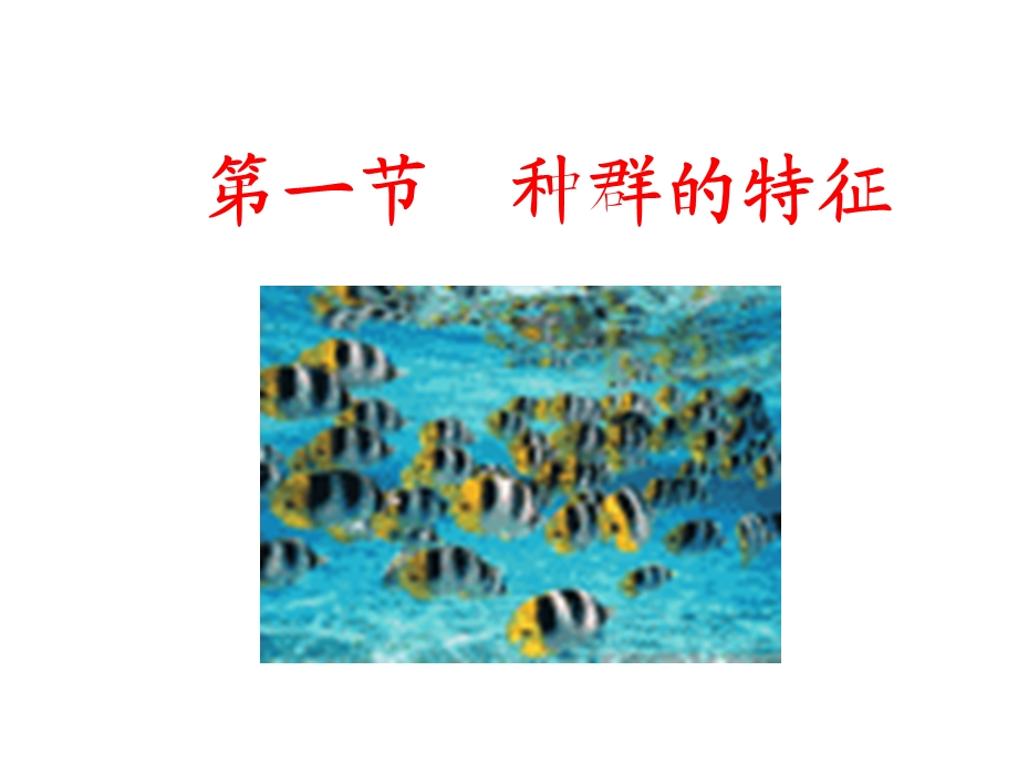 生物《种群的特征》课件新人教版.ppt_第1页