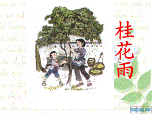 苏教小学语文四年级上桂花雨.ppt