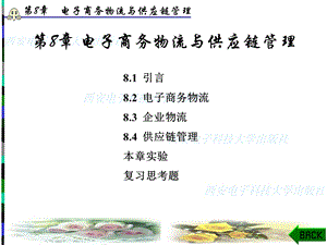 电子商务概论第8章.ppt